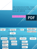 Leslie-proceso de Convocatoriapara Integrar a Los Empleados Publicos a La Ley Servir