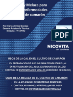 El uso de cal y melaza para el control de enfermedades en el cultivo de camarón-Carlos Ching.pdf