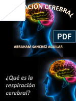 Respiracion Cerebral