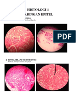 Histologi 1