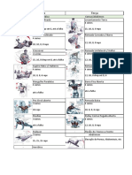 Tabela de Musculação Semanal