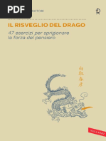 Il Risveglio Del Drago - Haruhiko Shiratori