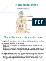 Copia de CLASE 9