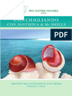 Conchigliando.pdf