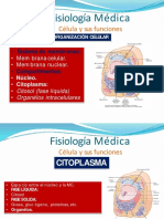 Tema 2 Clase 2 Celula y Su Funcion_unlocked