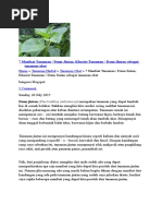Download botani ekonomi by Lidia Maziyyatun Nikmah SN367766072 doc pdf