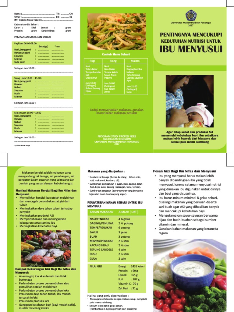 20 Inspirasi Pamflet Gizi Ibu Menyusui Little Duckling Blog