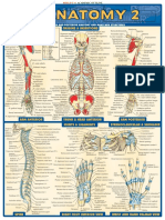 QuickStudy Anatomy 2 PDF