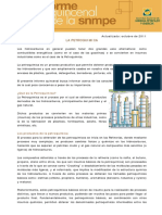 pdf-733-Informe-Quincenal-Hidrocarburos-La-petroquimica.pdf