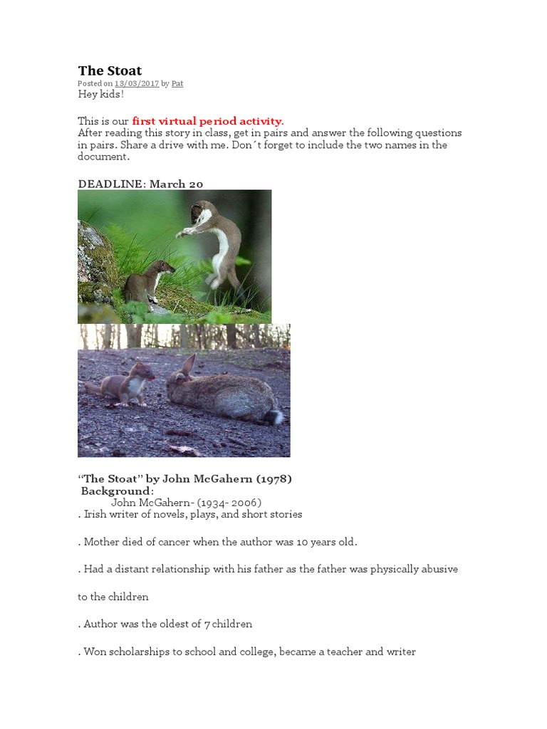The Stoat | PDF