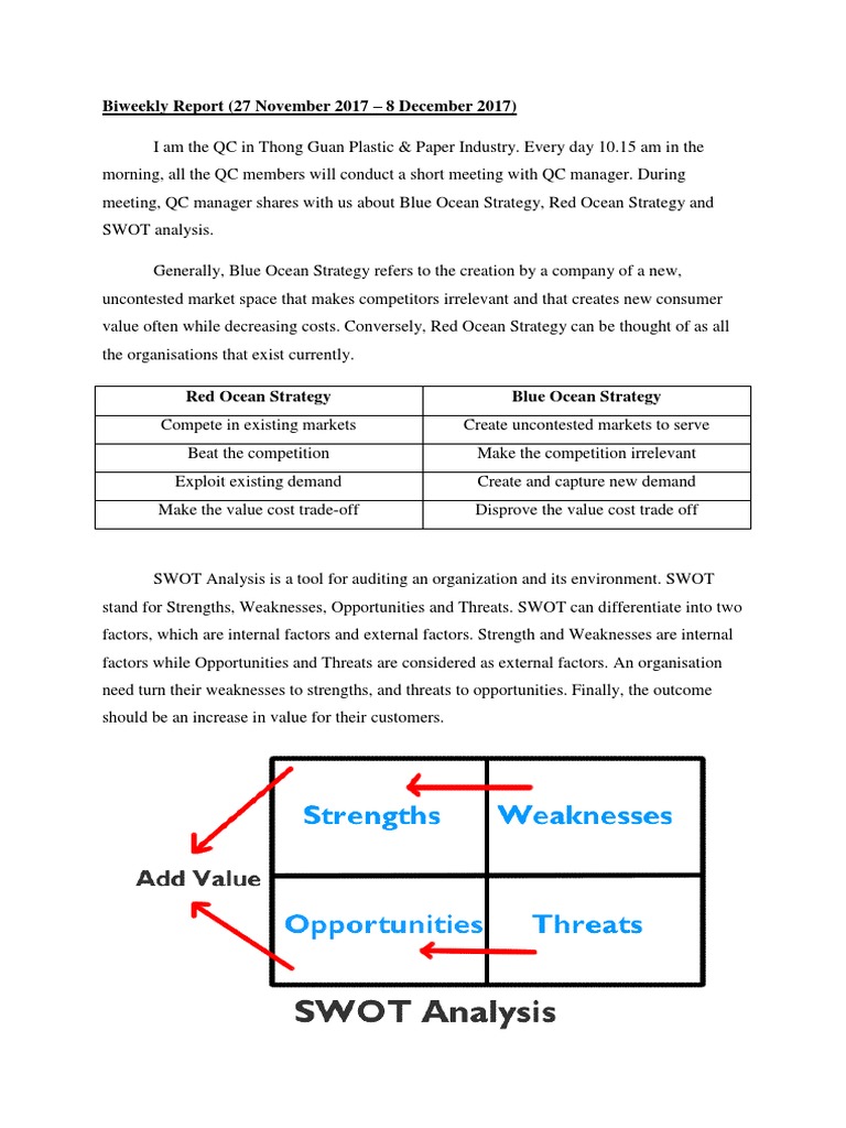Blue Ocean vs Red Ocean Strategies Explained | PDF