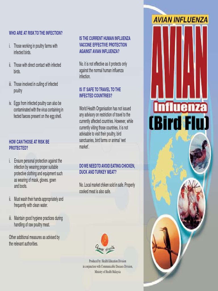 42 - Avian Flu - BI | PDF | Infection | Avian Influenza