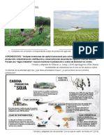 Ficha de Trabajo - Agronegocios