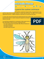 familles-insectes-1.pdf