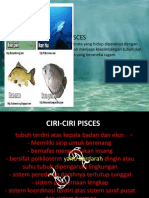 Pisces, Reptilia, Amphibia, Aves dan Mamalia