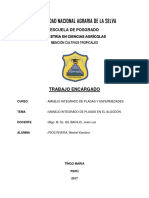 informe  MIP algodon.docx