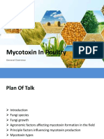 Mycotoxin in Poultry: General Overview