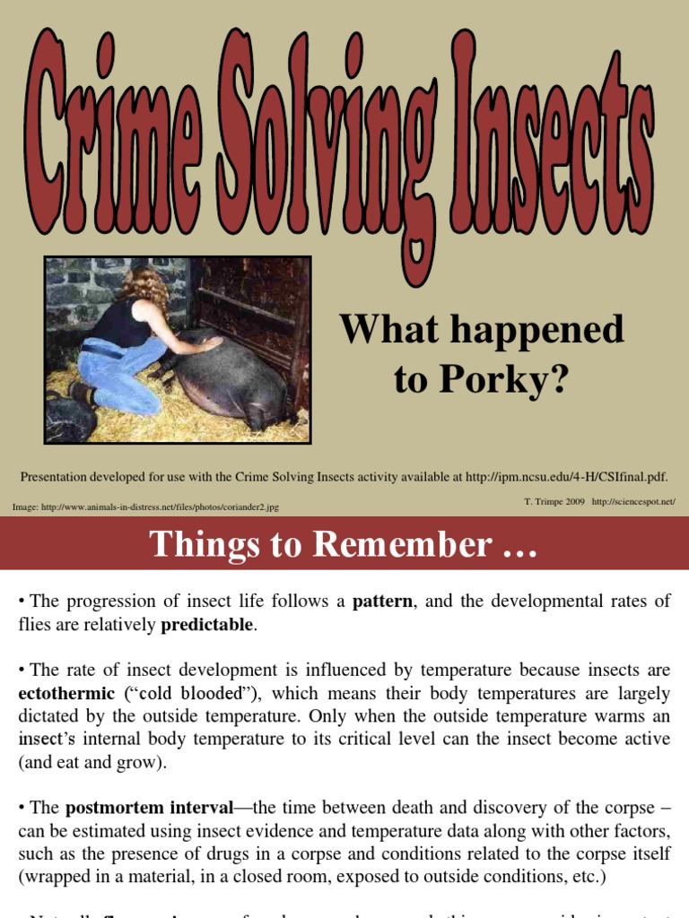 Forensic Entomology Case Studies | PDF | Decomposition | Fly