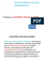 Lesiones Musculares