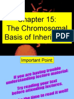 The Chromosomal Basis of Inheritance