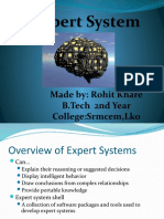 Expert System: Made By: Rohit Khare B.Tech 2nd Year College:Srmcem, Lko