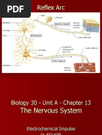 Bio30 - Unit a - 4 Notes