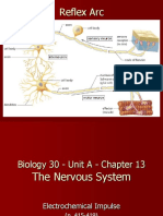 Bio30 - Unit A - 4 Notes