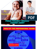 Persi-Change Agent-Nursalam-5mei-09 PDF