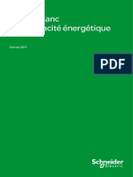 Livre-Blanc de Lefficacite Energetique