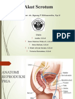 Akut Scrotum