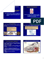 3 Ppt Anatomia Respiratoria 2017 II