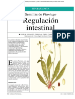 Regulación Intestinal: Semillas de Plantago