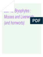 Lab 12: Bryophytes: Mosses and Liverworts (And Hornworts)