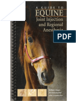 A Guide To Equine Injection and Regional Anesthesia PDF