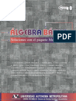 LIBRO-algebra basica.pdf