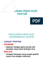 Virus Vektor