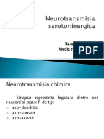 Transmisia serotoninergica - Balaceanu Petru.pptx