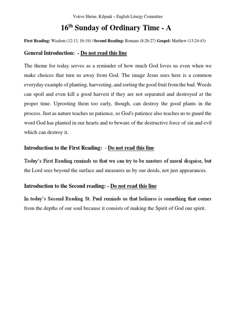 Homily on God's Patience and Kingdom | PDF | God In Christianity | Jesus