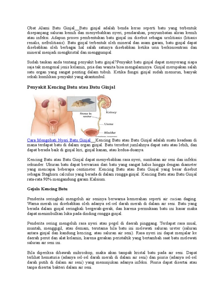 Di Dalam Rongga Ginjal Terdapat Batu Ginjal Yang Dapat Menyebabkan Cara Golden