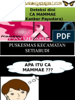 Ca Mammmae.pptx