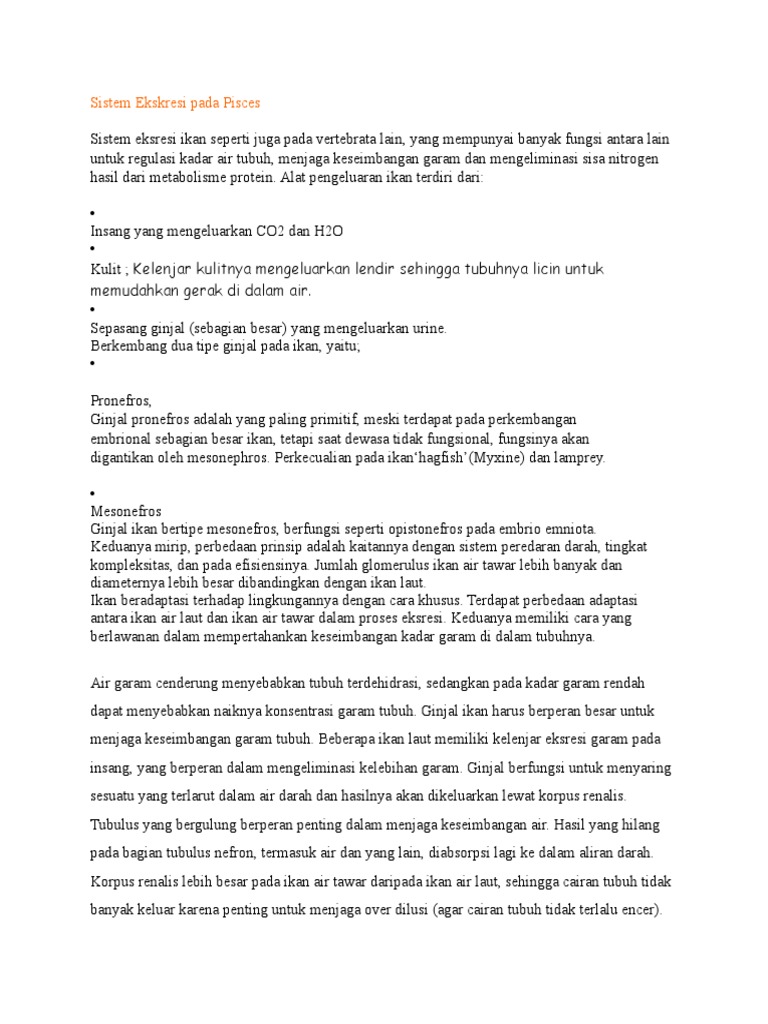 Download 57 Gambar Ginjal Pronefros Terbaru HD