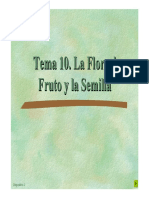 Tema 10_La Flor.pdf
