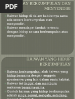 Haiwan Hidup Berkumpulan Dan Sendiri