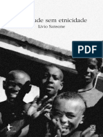 Negritude sem etnicidade.pdf