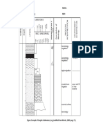 Graphic Sedimentary Log PDF