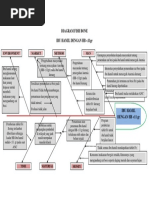 Diagram Fish Bone