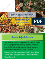 Buah Sejati Ganda