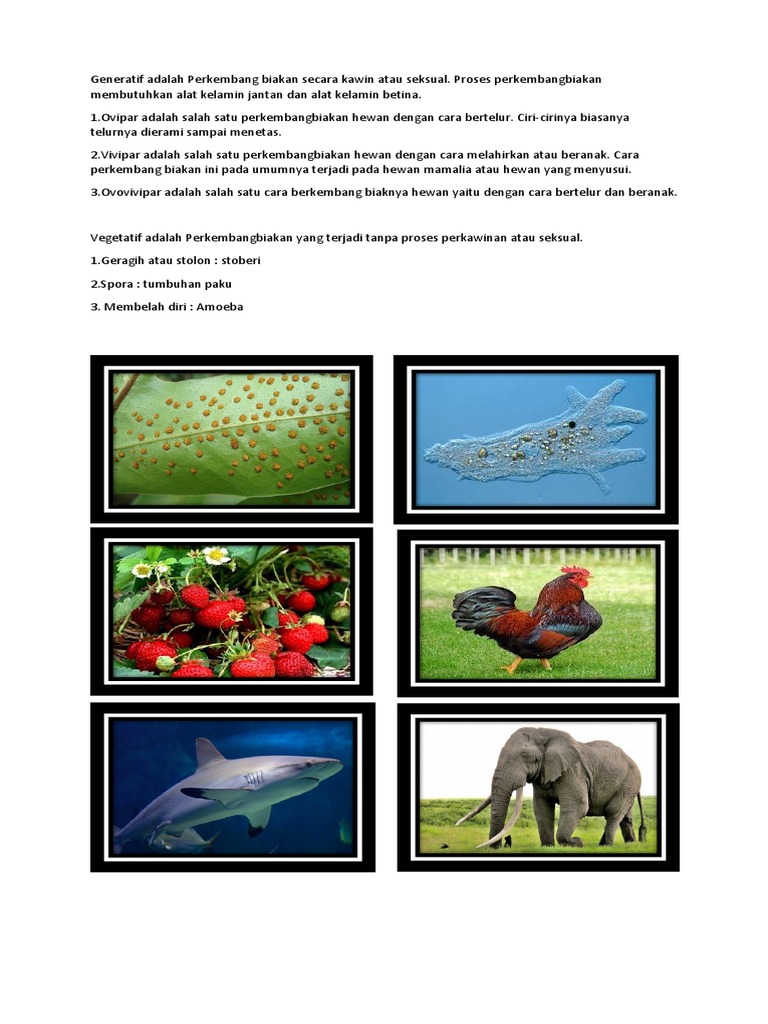 Generatif Adalah Perkembang Biakan Secara Kawin Atau Seksual