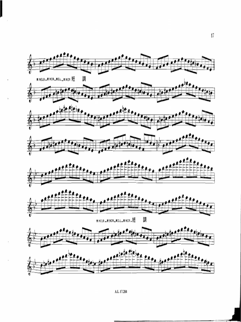 Taffanel179127032 Taffanel Gaubert 17 Big Daily Exercises PDF