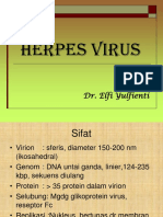 Herpes Virus FK